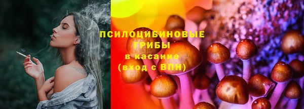 spice Алзамай