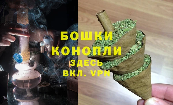 spice Алзамай