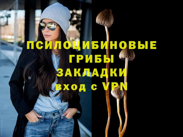spice Алзамай