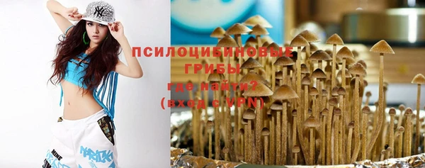 spice Алзамай