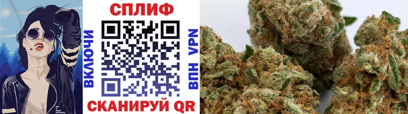 где найти наркотики Чёрмоз Бошки марихуана план